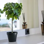 Willa Blue Sunrise 1 Afandu