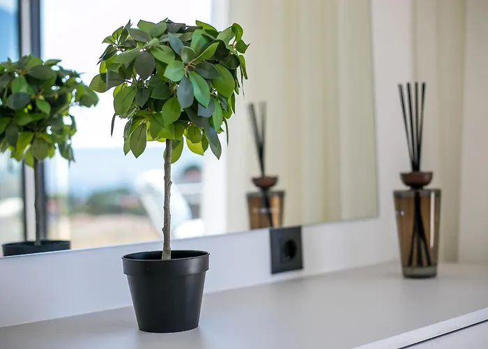 فيلة Blue Sunrise 1 أفانتو