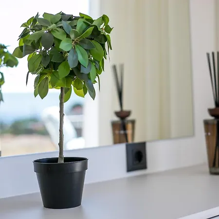 Villa Blue Sunrise 1 Afantou